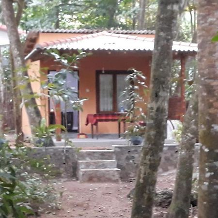 Freedom Villa Hiriketiya ディックウェラ 部屋 写真